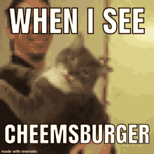 Food Cheeseburger GIF