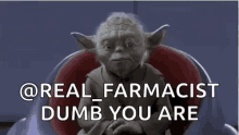 Dumb You Are Yoda GIF - Dumb You Are Yoda Star Wars GIFs