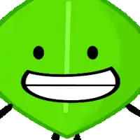 a drawing of a boy with a green leaf and a roblox character