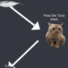 Pass The Tuna Letteris G GIF - Pass The Tuna Letteris G GIFs