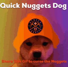 Nuggets Nuggets Dog GIF - Nuggets Nuggets Dog Dog GIFs