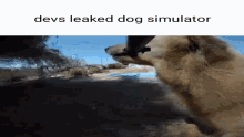 Devs Leaked Dog Simulator Dog Simulator Leaked GIF - Devs Leaked Dog Simulator Dog Simulator Leaked Dog Pov GIFs