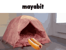 Maya Mayabit GIF - Maya Mayabit GIFs
