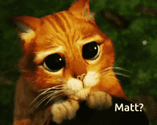 Puss In Boots Puppy Dog Eyes GIF - Puss In Boots Puppy Dog Eyes Sad GIFs