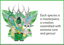 Forest Fairy Gnome GIF - Forest Fairy Gnome Nature GIFs