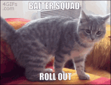 Baitersquad Roll Out GIF - Baitersquad Bait Squad GIFs