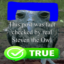 a picture of an owl with the caption " this post was fact checked by real steven the owl " on it