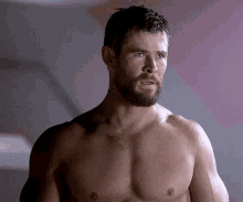 a shirtless man with a beard is standing in a room and looking at the camera .