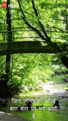 a picture of a bridge over a river in a forest with a quote in a foreign language