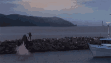 Free Willy GIF - Free Willy GIFs