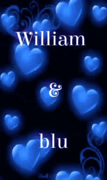 William GIF - William GIFs