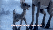 a stuffed reindeer with the words put one foot in front of the other on it