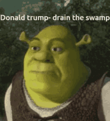 Drain The Swanp I Think Not GIF - Drain The Swanp I Think Not GIFs