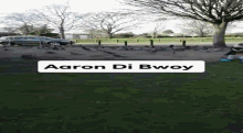 Aaron Di Bwoy Park GIF - Aaron Di Bwoy Park Pigeons GIFs