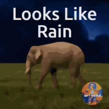 Rain Raining GIF - Rain Raining Looks Like Rain GIFs