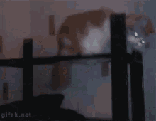 a gif from gifak.net shows a dark room