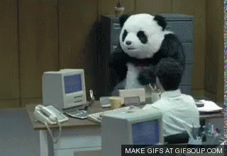 ausrasten-panda-rastet-aus.gif