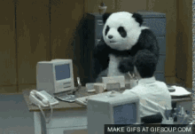Panda Rastet Aus - Ausrasten GIF - Ausrasten Panda Rastet Aus Panda GIFs