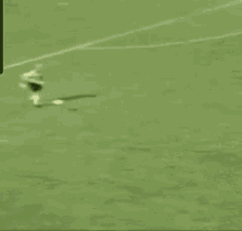 Red Card Foul GIF - Red Card Foul Soccer GIFs