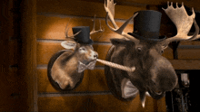 Montanas Party Blower GIF - Montanas Party Blower Deer GIFs