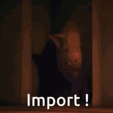 import pig cochon