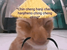 a cat wearing a straw hat with a mustache is sitting on the floor .