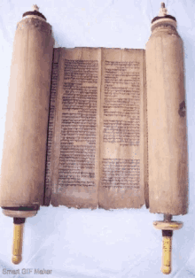 Torah Emet GIF