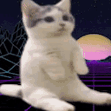 Retro Wave GIF - Retro Wave Cat GIFs