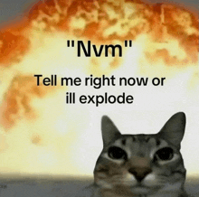 a cat in front of an explosion with the words " nvm " on it
