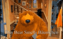 Bäumchen This Bear GIF - Bäumchen This Bear Smell GIFs