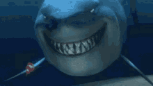 Shark Nemo GIF