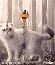 a white cat with a unicorn horn is holding a lollipop with a duck on it