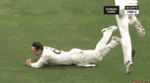 travis head dropped catch fielding test cricket border gavaskar trophy