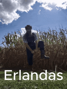 Erlandas Farmer GIF - Erlandas Farmer GIFs