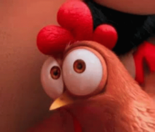 chicken-say-what.gif