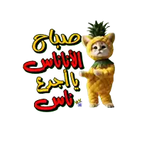 a cat in a pineapple costume with arabic writing