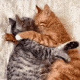 Love You Long Time Love You Too GIF - Love You Long Time Love You Love You Too GIFs