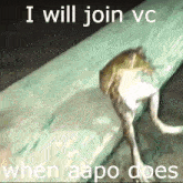 a picture of a frog with the words i will join vc when aapo does