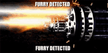 Furry Detected GIF - Furry Detected GIFs