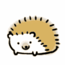 hedgehog cartoon