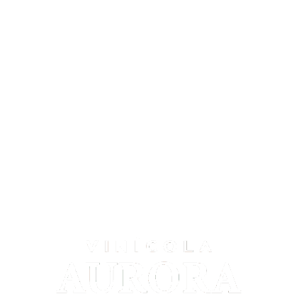 Boradeaurora Vinícola Aurora Sticker