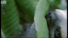 All I Wanna Do Is Eat Some Leaves GIF - Sloth Eating Lunchtime GIFs