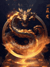 a statue of a dragon in a circle of fire with chinese writing behind it