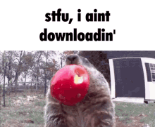 Download No U Download GIF - Download No U Download Stfu GIFs