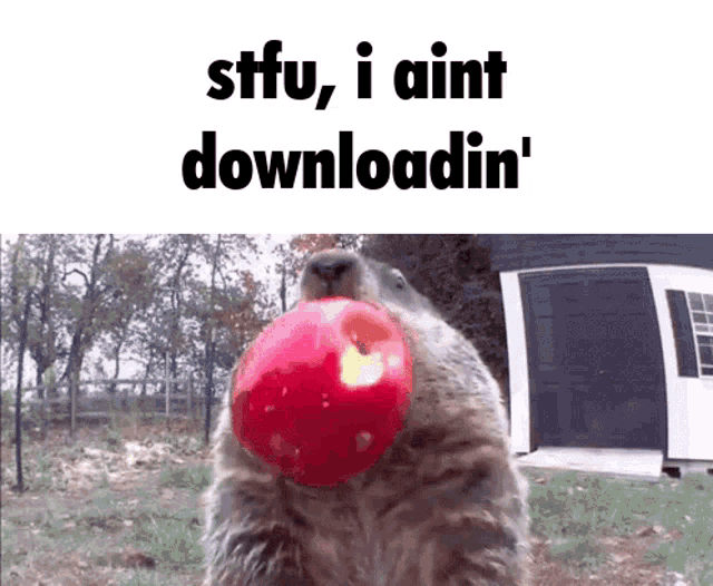 Download No U Download GIF - Download No U Download Stfu