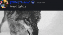 a black and white photo of a wolf with the words tread lightly on the bottom