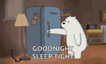 good night sweet dreams fridge