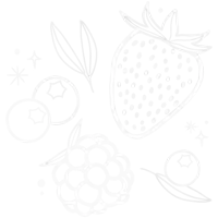 a drawing of strawberries raspberries and blueberries on a white background