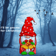 Gnomes Memes Cute Gnomes GIF