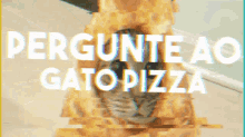 Pergunte Ao Gato Pizza Kaukkakanom GIF - Pergunte Ao Gato Pizza Kaukkakanom GIFs